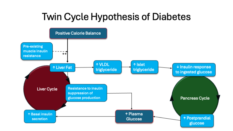 Overcome fear of diabetes.